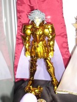 Saga Gemini